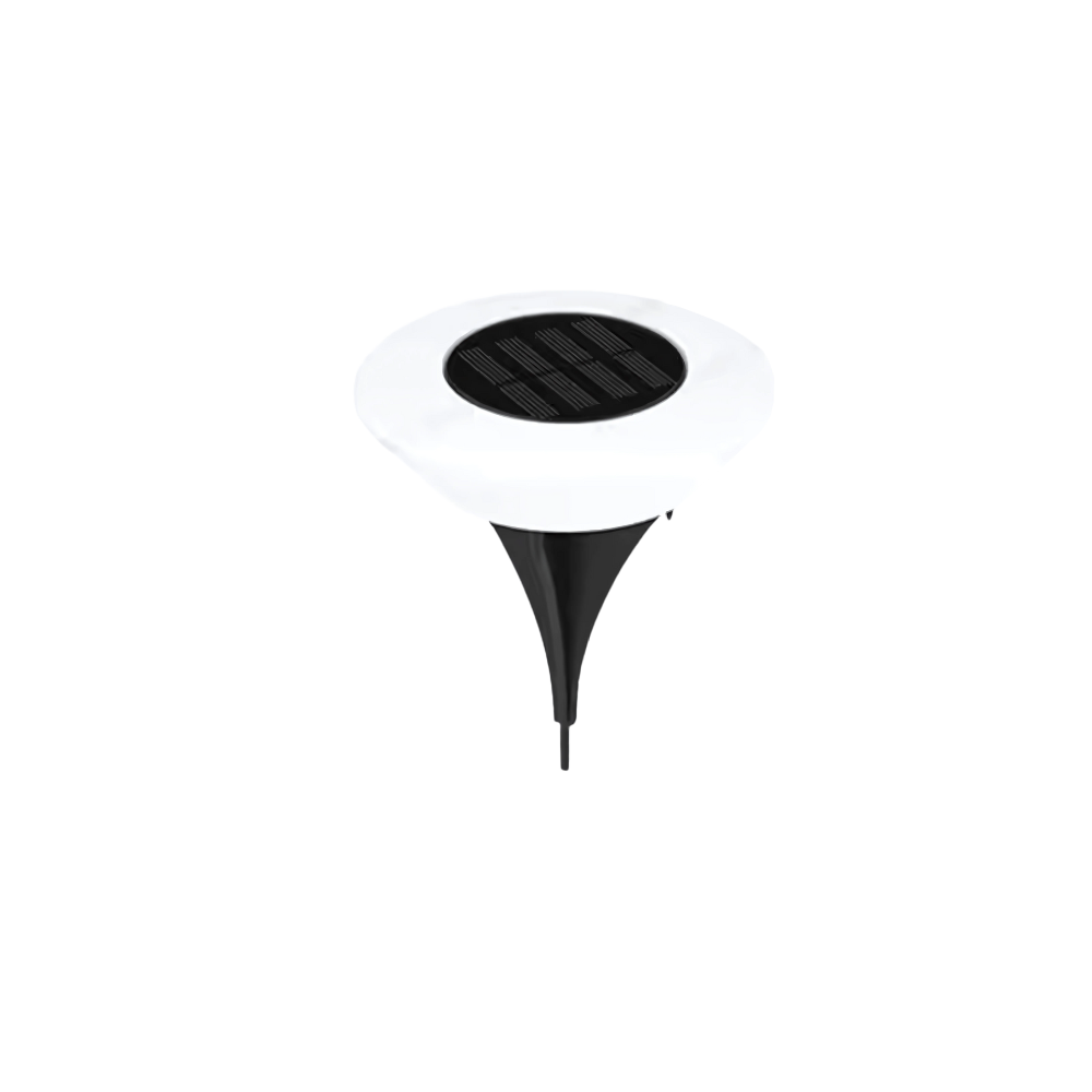 Solar Garden Lights Outdoor | IP65 Weatherproof LED Path Lights